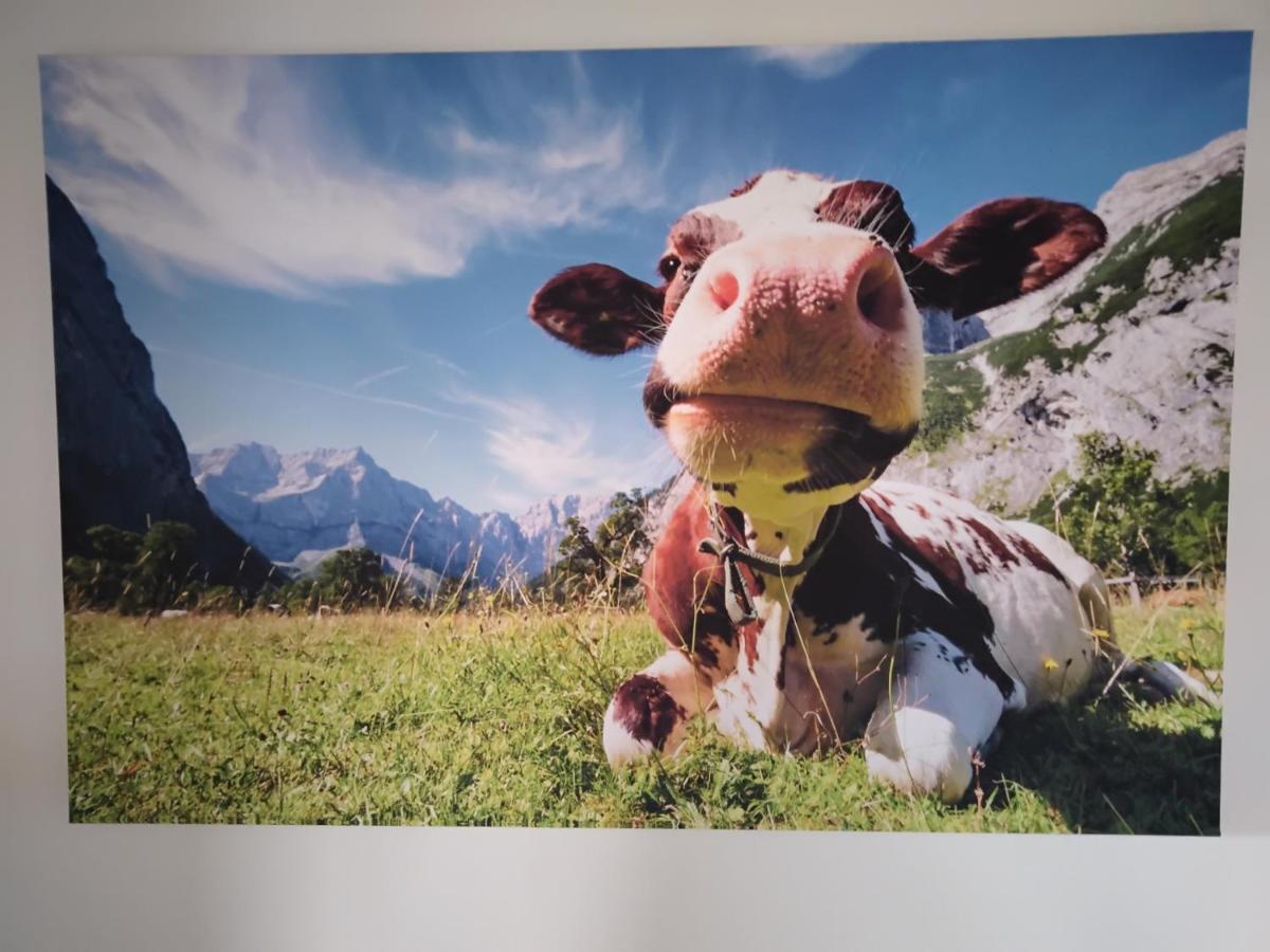 Zuhause In Hofs ,Leutkirch Im Allgaeu Exteriör bild